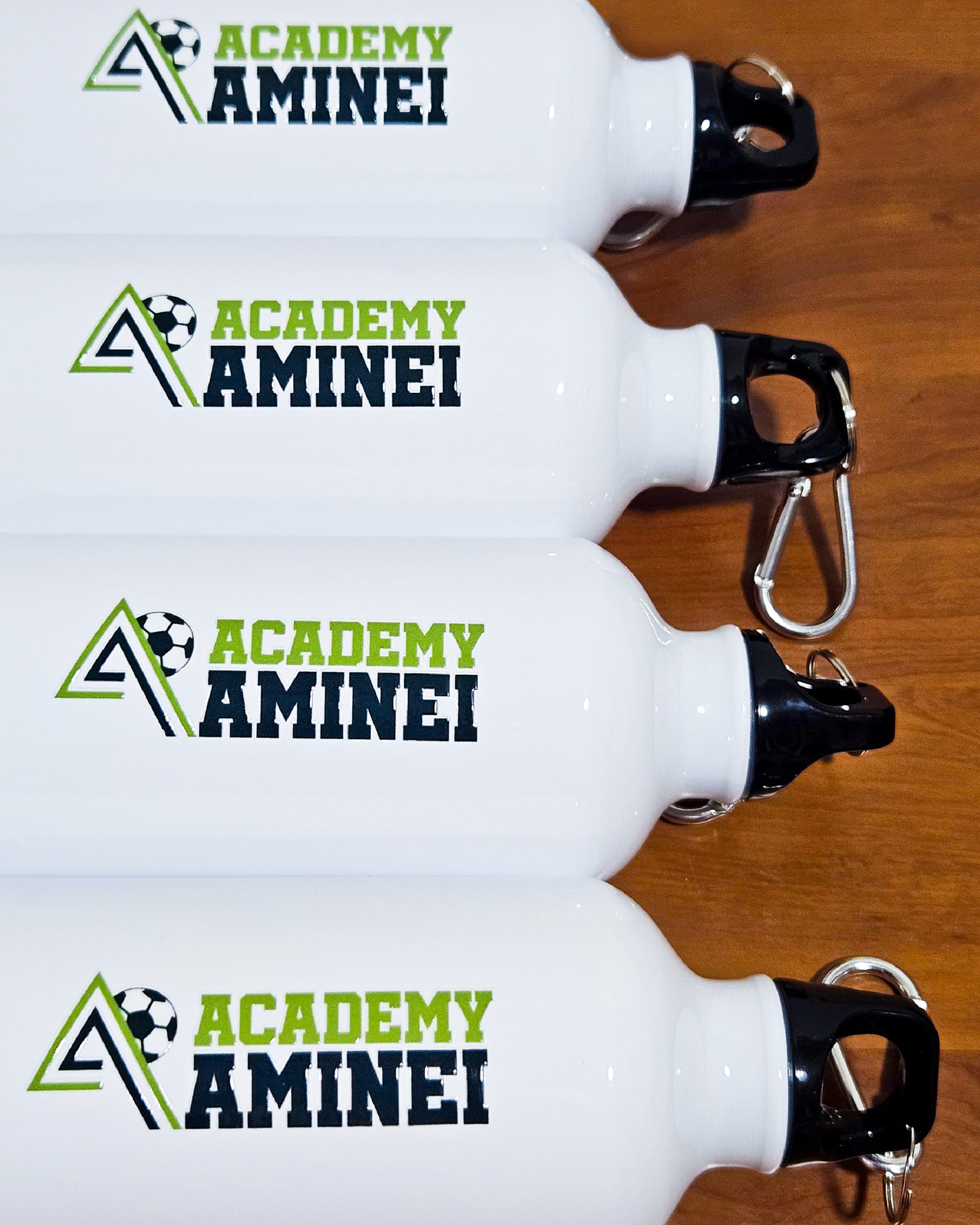 borracce aminei academy
